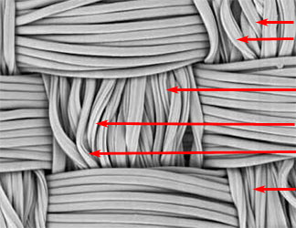 Channel_in_fibre_magnified_130x.jpg Channel_in_fibre_magnified_130x.jpg